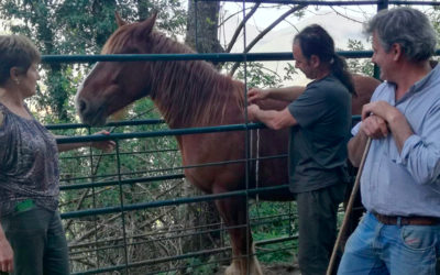 La nueva Presidenta visitó Liébana el pasado martes día 24 de abril.