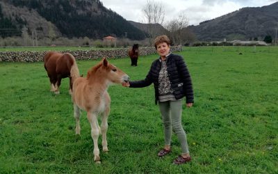 FEAGAS entrevista a nuestra nueva presidenta María del Carmen Ramasco de Celis