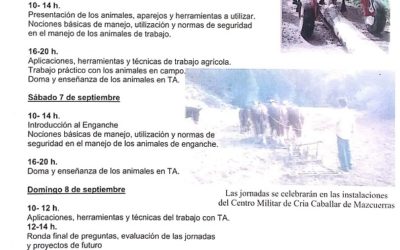 MANADAS ANIMA A PARTICIPAR EN EL TALLER DE INICIACIÓN A LA DOMA DEL CABALLO PARA ENCHANCHE