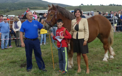 Concurso Morfológico San Mateo 2019