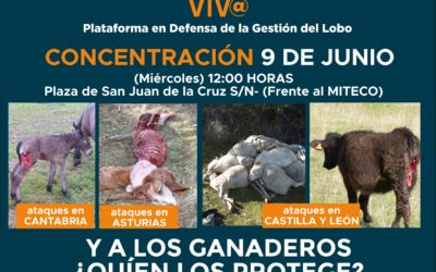 MOVILIZACIÓN CONTRA LA GESTIÓN DEL LOBO EL 9 DE JUNIO EN MADRID