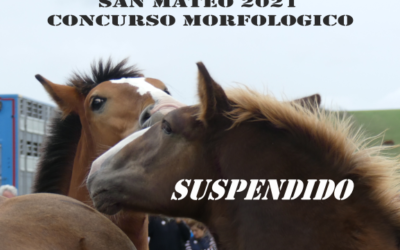 CONCURSO MORFOLOGICO DE LA ASOCIACION «MANADAS»