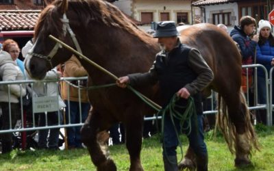 FIN DE SEMANA «TOP» EN ASOCIACION MANADAS